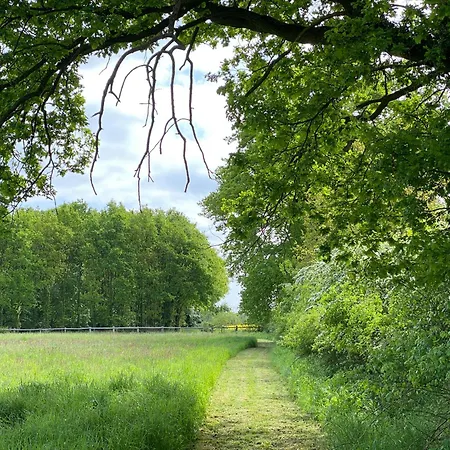 Ferienhaeuser Weitblick *